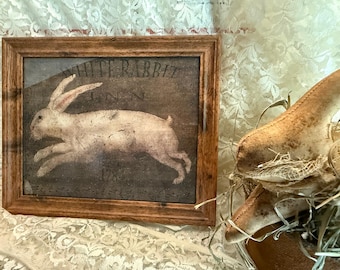 Framed Print of White Rabbit Picture