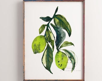 Limes Watercolor Print Kitchen Wall Art