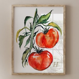 Tomato Watercolor Painting Print: Signed Kitchen Garden Art