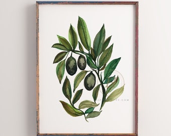 Large Olive Print Kitchen Wall Art