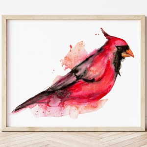 Kardinal Aquarell Kunstdruck