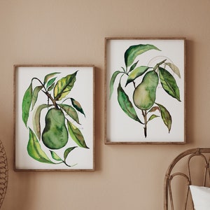 Avocado Art Prints - Set of 2 - Kitchen Wall Art - Fruit Art Print - Fruit Market Art Print - Avocado Illustration - Kitchen Decor