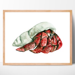 Hermit Crab Watercolor Print