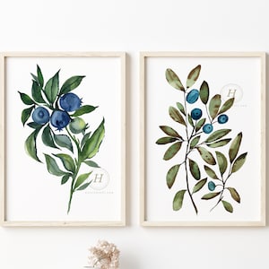 Blueberry Watercolor Prints set of 2