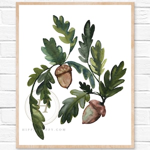 Acorn Watercolor Print