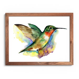 Ruby Throated Hummingbird Watercolor Art Print: Nature Wall Decor