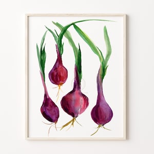 Red Onions Watercolor Print Kitchen Wall Art