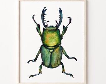 Puede incluir: Pintura acuarela de un escarabajo ciervo verde con grandes mandíbulas. El escarabajo se representa de perfil, con las patas extendidas.