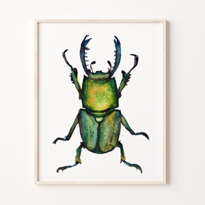 Stylish Beetle Watercolor Painting