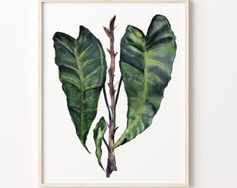 Pintura de plantas tropicales