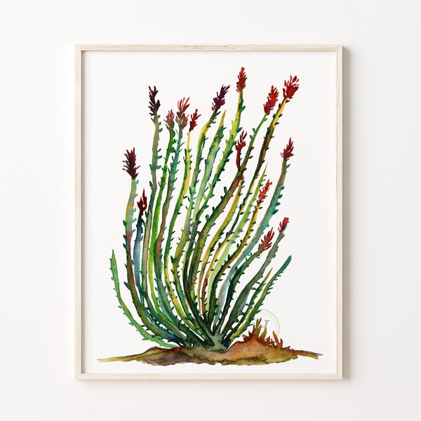 Ocotillo Cactus Watercolor Painting Print, Artwork
