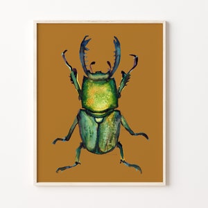 Käfer Käfer Aquarell Druck