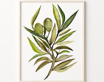 オリーブの枝のオリジナル水彩画、食べ物のイラスト、ギリシャの植物の