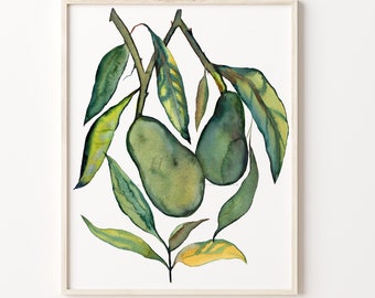 Two Avocados Watercolor Painting