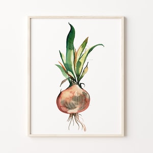 Onion Watercolor Print Vegetable Art