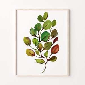 Eucalyptus Watercolor Print: Botanical Leaf Wall Art