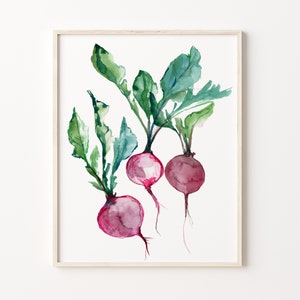 Radish Watercolor Print Spring Wall Art Dining Room Wall Art Kitchen Décor Seasonal Vegetable Print