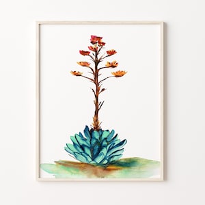 Stampa acquerello CENTURY PLANT di Crystal Cortez