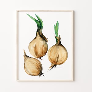 Onions Watercolor Print