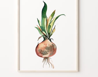 Zwiebel Aquarell Druck Gemüse Kunst