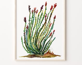 Ocotillo Cactus Watercolor Painting Print, Artwork
