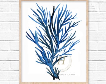 blue coral watercolor painting