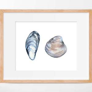 Mussel and Clam Watercolor Print