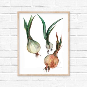 Onions Watercolor Print
