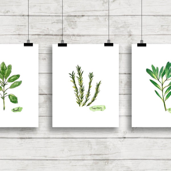 Herb Watercolor Prints Set of 3