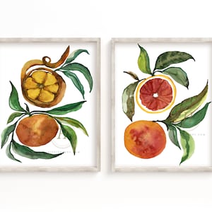 Citrus Prints Kitchen Art, Watercolor Print Set of 2