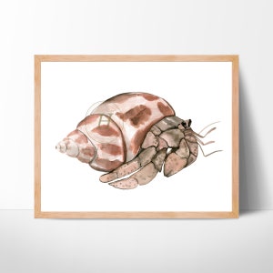 Hermit Crab Watercolor Painting