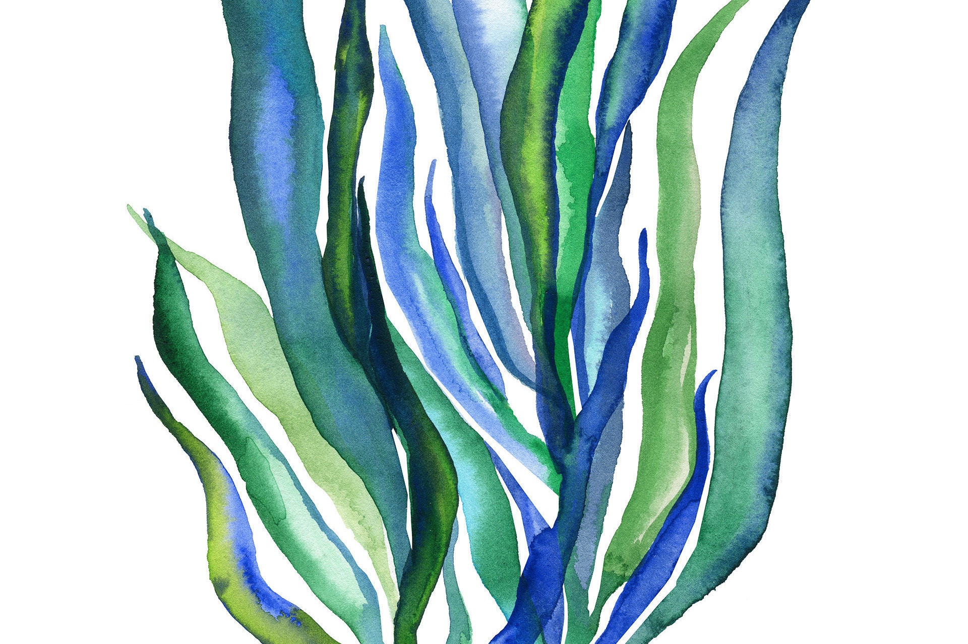 Seaweed Printable Printable Word Searches