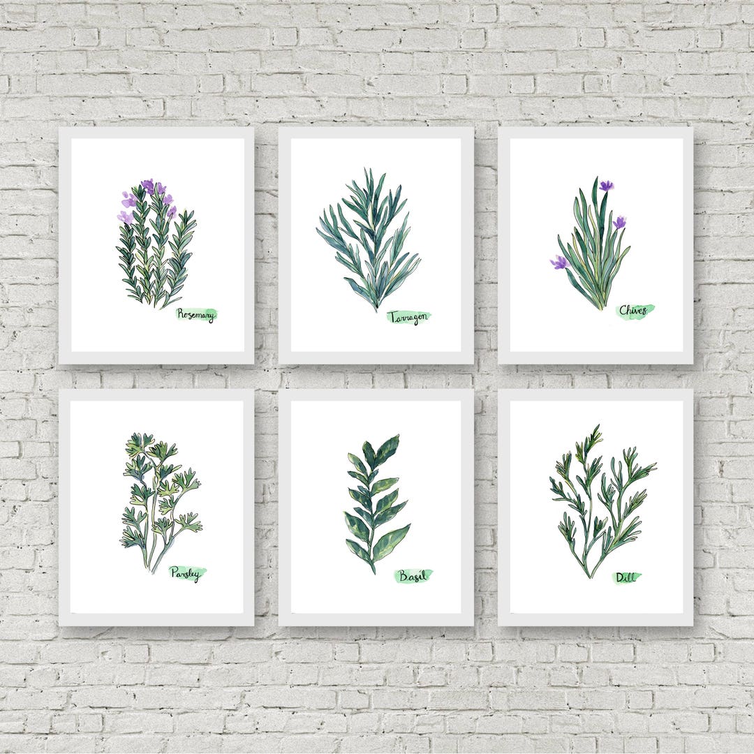 Herbs Set of 6 Watercolor Prints - Etsy