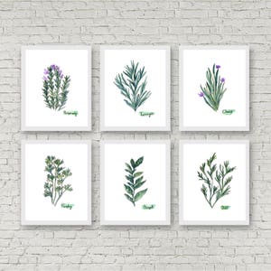 Herbs Set of 6 Watercolor Prints