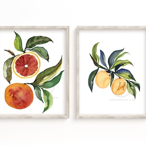 Grapefruit and Orange Watercolor Prints set of 2
