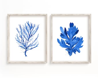 Coral and Seaweed Print Set of 2