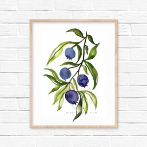 Blueberry Watercolor Print