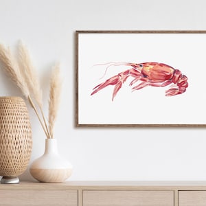 May include: Watercolor painting of a red crayfish on a white background. The crayfish is depicted in a side view, with its claws extended and its tail curled.