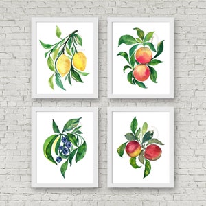 Limoni, pompelmi, mele, mirtilli, acquerelli, set di 4 stampe artistiche da parete