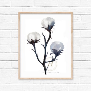 Cotton Watercolor Print