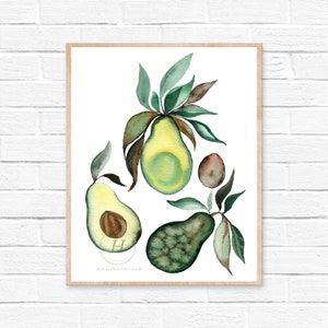 Avocado Watercolor Print