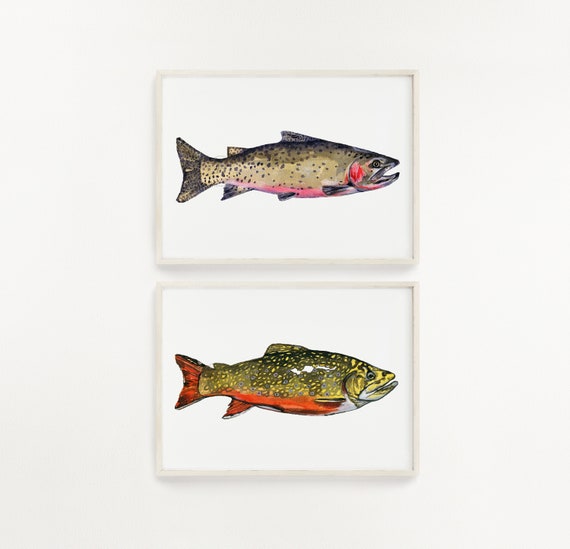 Brook ブルック　Cutthroat Trout Sweat L Brook Trout (Golden Ridge Reserve) - Fish Species - COTW