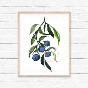 Blueberry Watercolor Print Wall Art Kitchen Decor