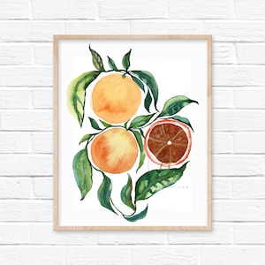Sinaasappelen Fruit Aquarel Print