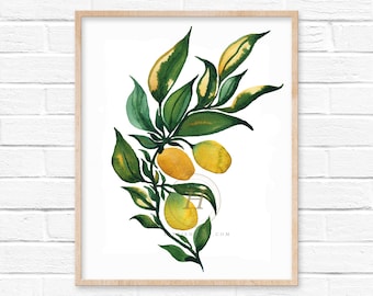 Kumquat Aquarell Druck