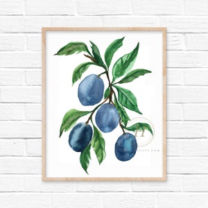 Plums Watercolor Print