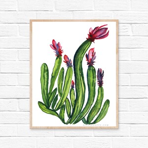 Cactus Acquerello Stampa Cacti Decor