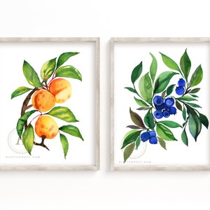 Blueberry and Apricot Prints, Watercolor Wall Art, Kitchen Art