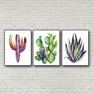 Set di 3 stampe di acquerelli di cactus