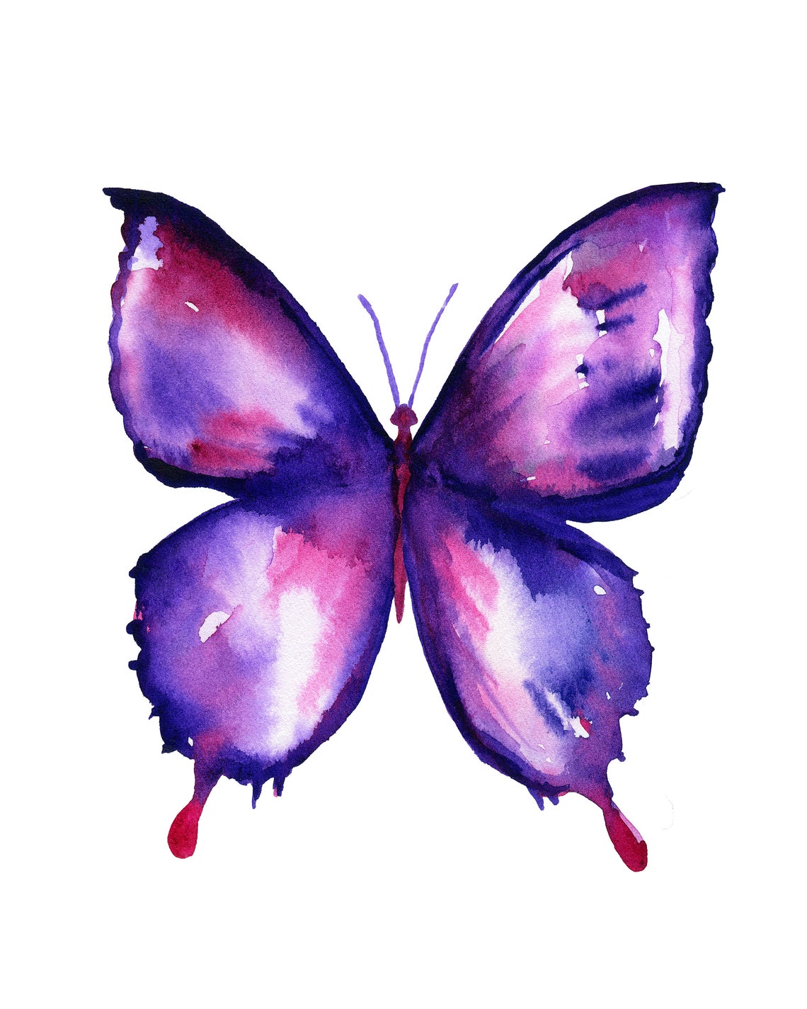 Butterfly Watercolor Print - Etsy